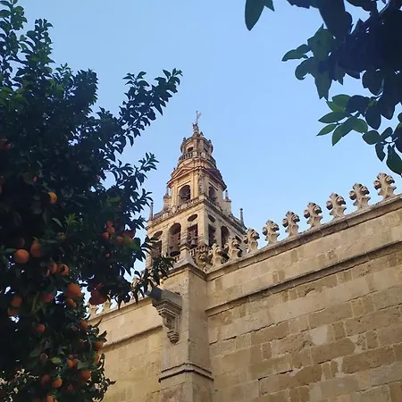 Apartment Saravia Only Families *