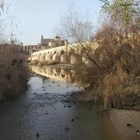 Apartment Saravia Only Families