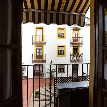 Saravia Only Families