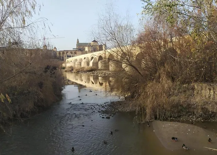 Appartement Saravia Only Families