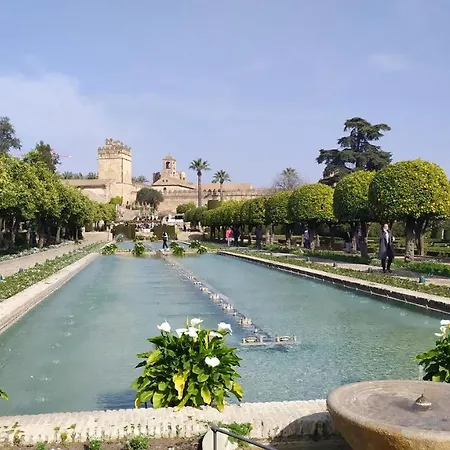 Saravia Only Families