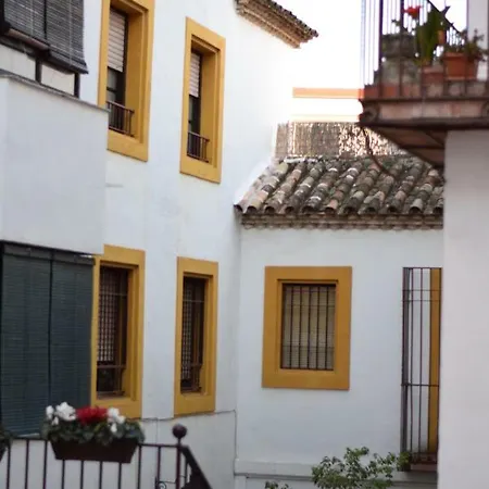 Saravia Only Families *