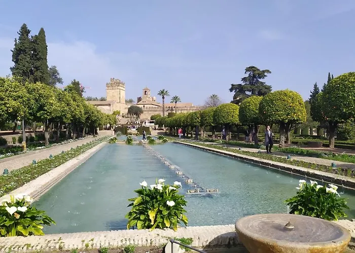 Saravia Only Families