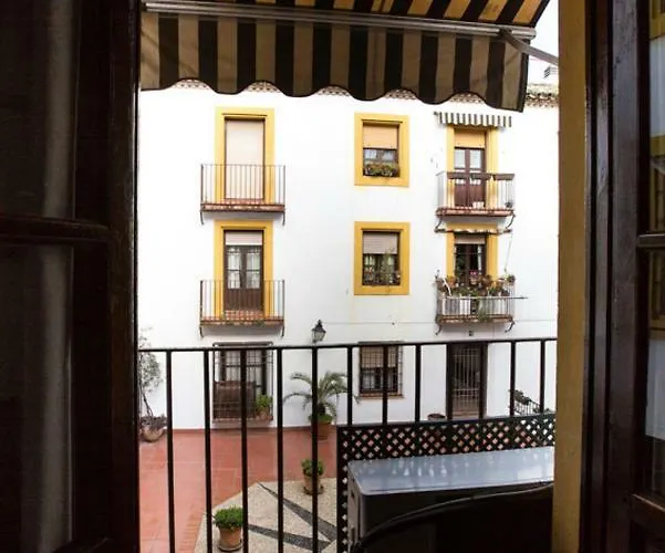 Saravia Only Families