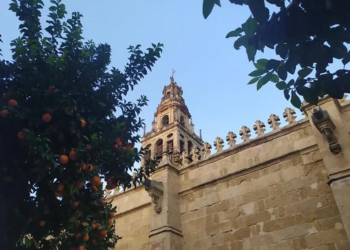 Apartament Saravia Only Families *