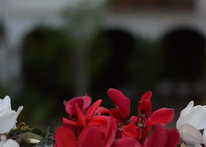 Apartament Saravia Only Families *